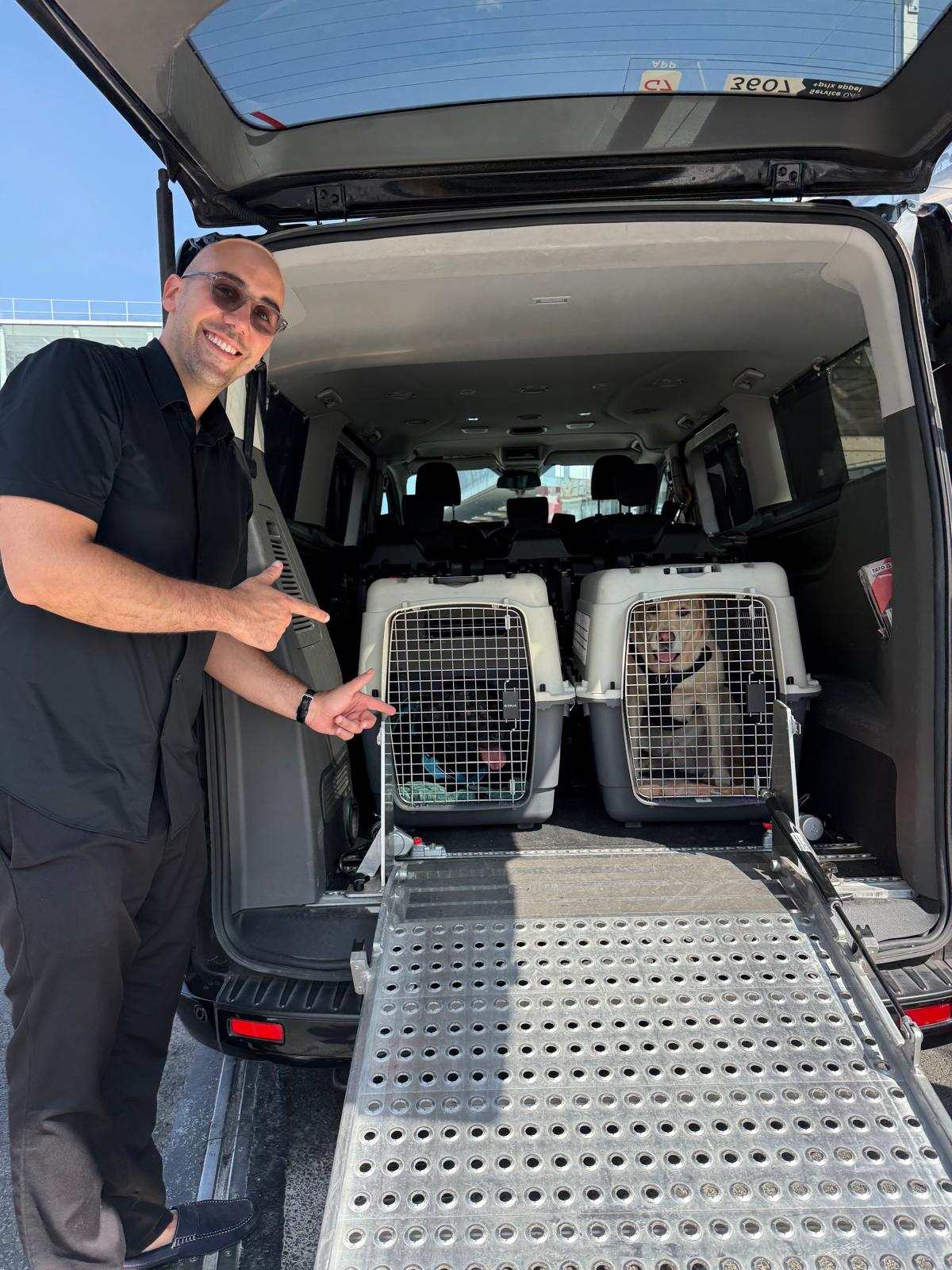 Transport d'animaux